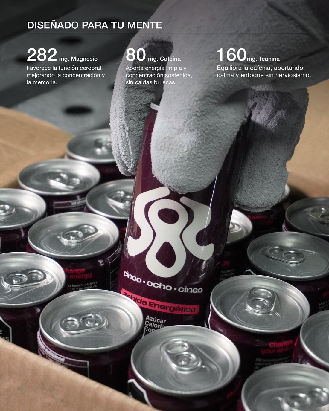 The Focus Drink | 585 Pack 24 Latas