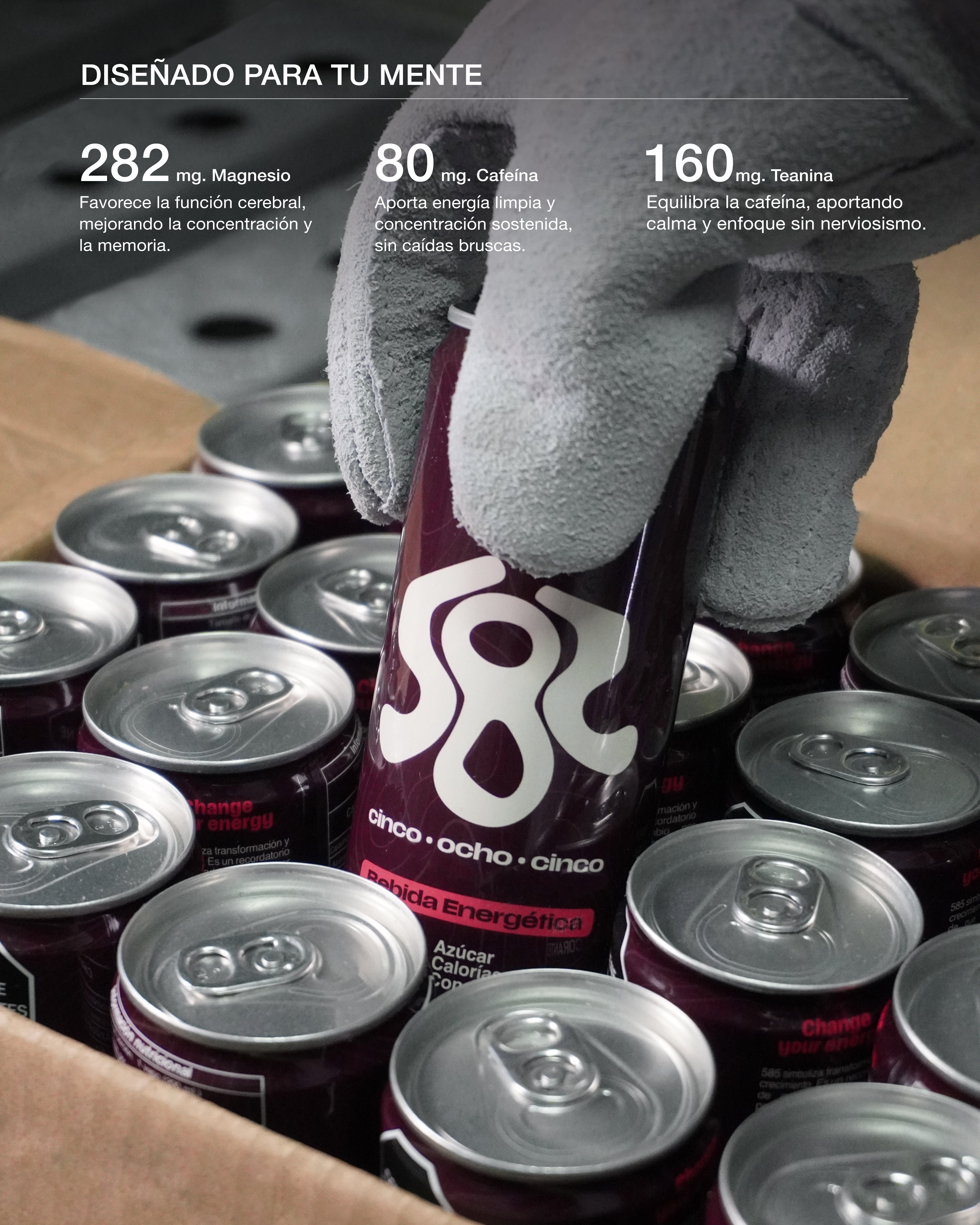 The Focus Drink | 585 Pack 24 Latas